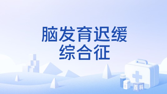 脑发育迟缓综合征