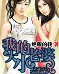 我的大小老婆（绝版的我创作的网络小说）