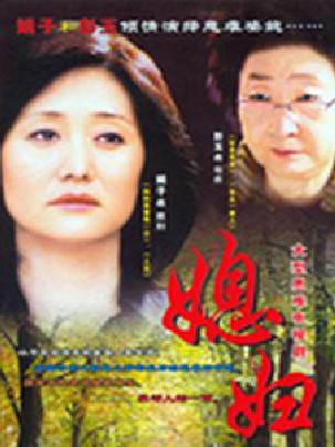 媳妇（2007年斗琪执导的家庭剧）