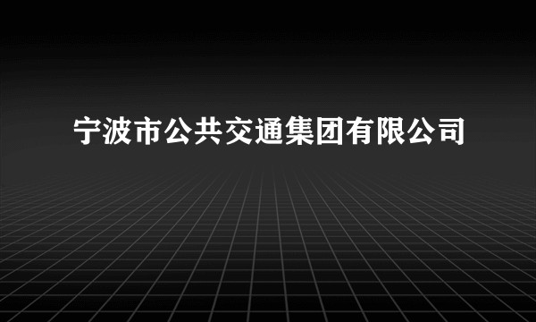 宁波市公共交通集团有限公司