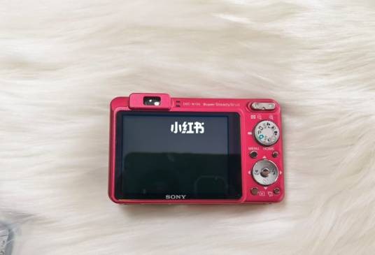 索尼W150