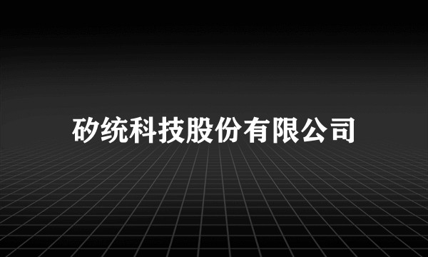 矽统科技股份有限公司
