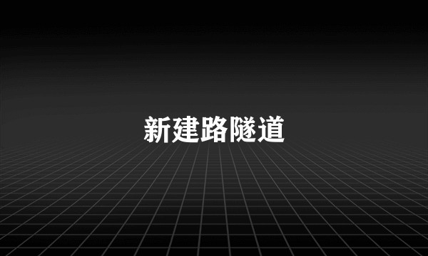 新建路隧道