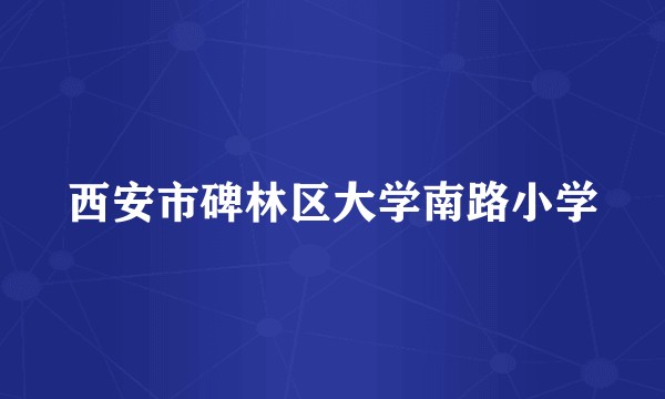 西安市碑林区大学南路小学