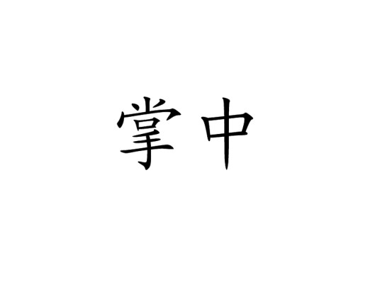 掌中（汉语词语）