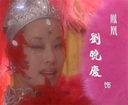 火凤凰（2001年彭军导演的大陆电视剧）