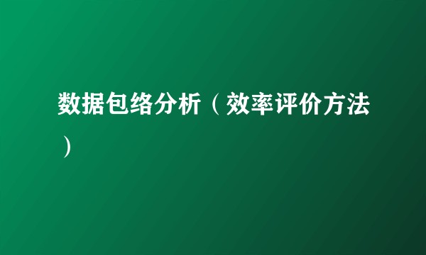 数据包络分析（效率评价方法）
