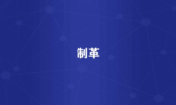 制革