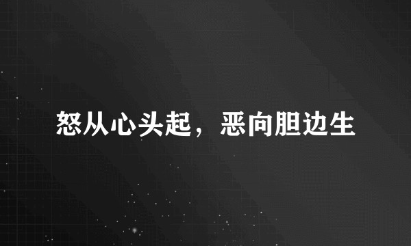 怒从心头起，恶向胆边生
