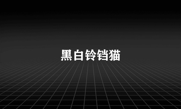 黑白铃铛猫