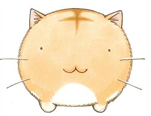 嘟嘟猫观察日记（树露创作四格漫画）