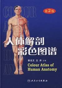 人体解剖彩色图谱