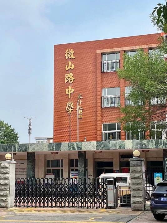 天津市微山路中学