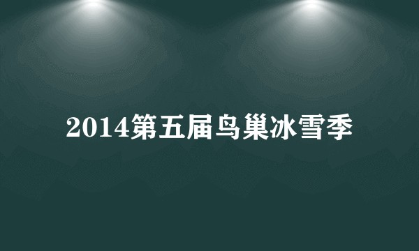 2014第五届鸟巢冰雪季