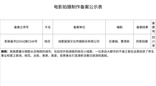 桃花（2016年由任睿娟、曹溯辰编剧的电影）