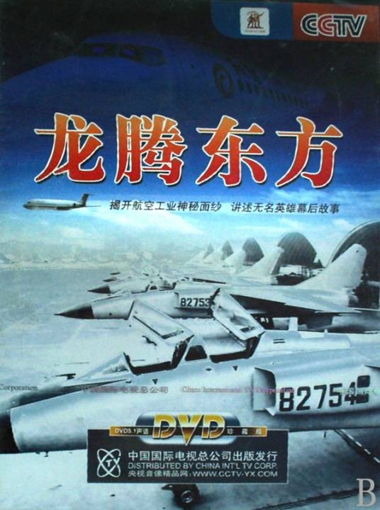 龙腾东方(纪录片)
