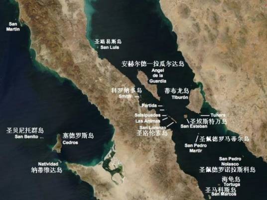 加利福尼亚湾