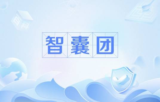 智囊团（专门从事开发性研究的咨询研究机构）