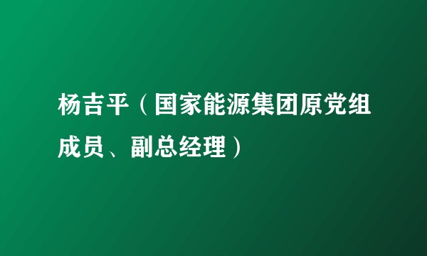 杨吉平（国家能源集团原党组成员、副总经理）