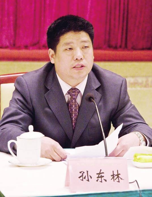孙东林（信义兄弟建设集团有限公司董事长）