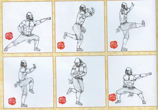 少林拳(中国传统武术拳法)