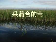 采蒲台的苇（现代作家孙犁创作的散文）