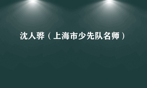 沈人骅（上海市少先队名师）