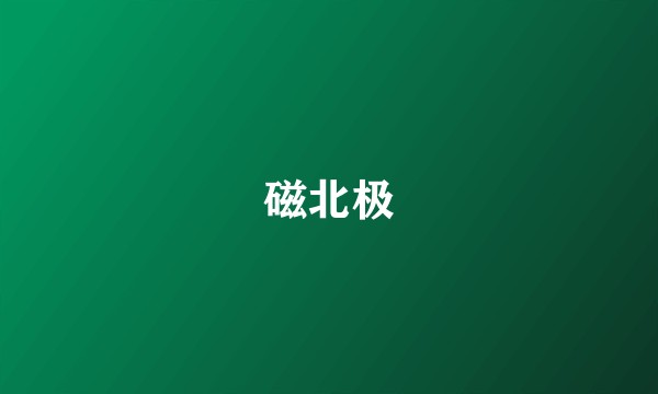 磁北极