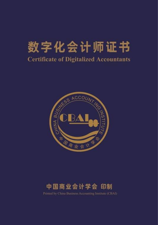 数字化会计师