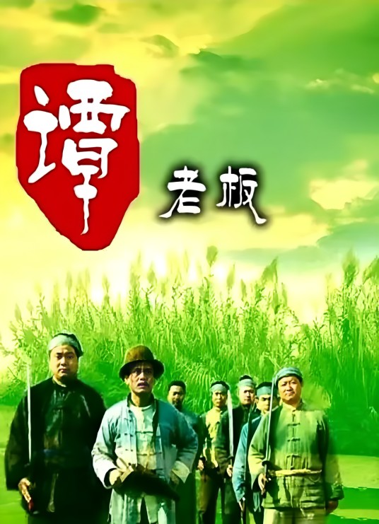 谭老板（2006年吴晓伟执导的故事电影）