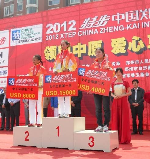 何引丽