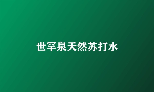世罕泉天然苏打水