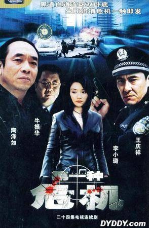 第一种危机（2004年王永执导的电视剧）