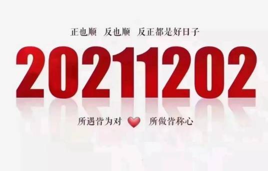 世界完全对称日