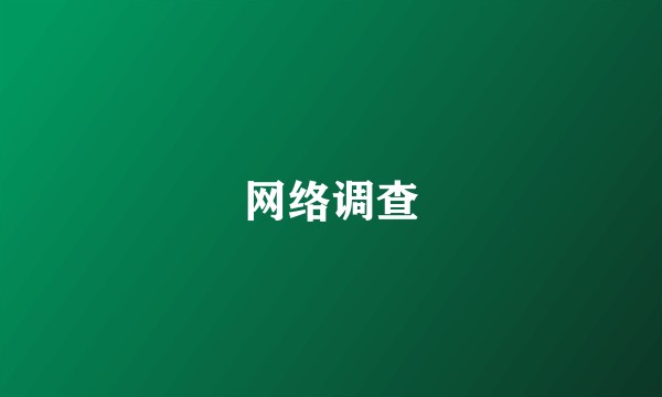 网络调查