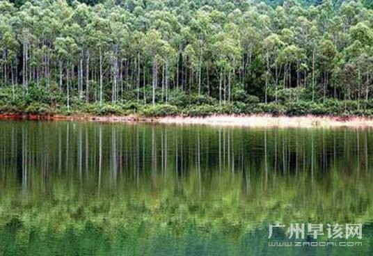 王子山森林公园