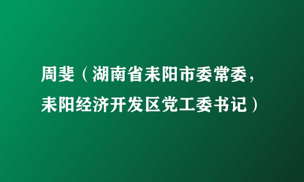 周斐（湖南省耒阳市委常委，耒阳经济开发区党工委书记）