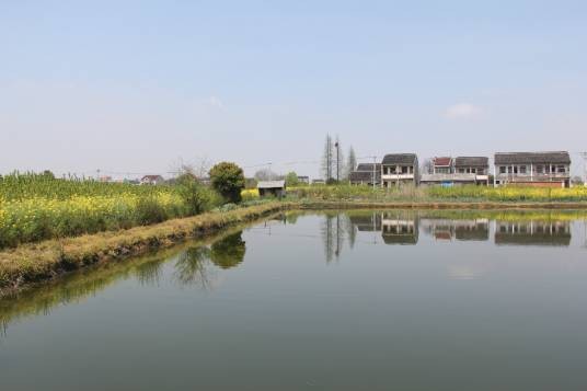 辑里村