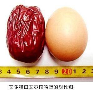和田玉枣