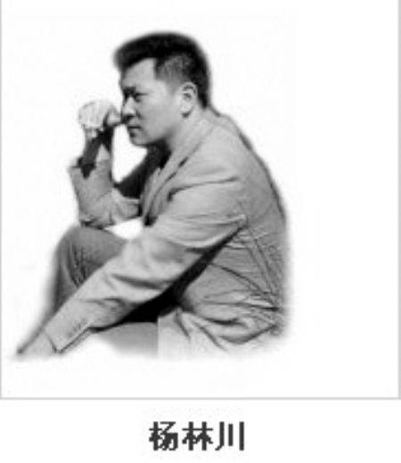 杨林川（中国社会艺术协会副主席）