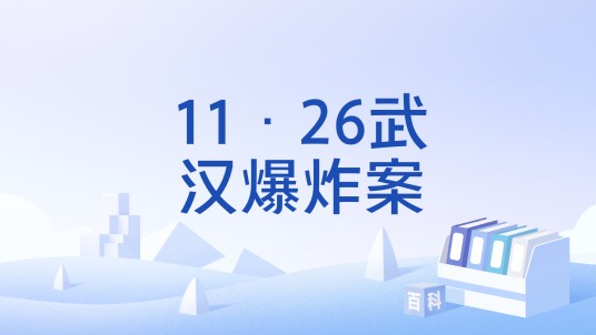 11·26武汉爆炸案