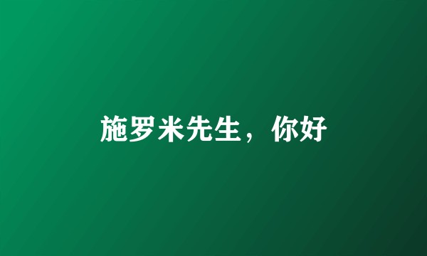 施罗米先生，你好