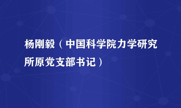 杨刚毅(中国科学院力学研究所原党支部书记)