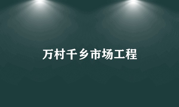 万村千乡市场工程