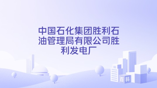 中国石化集团胜利石油管理局有限公司胜利发电厂