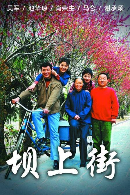 坝上街（2013年王建荣执导的剧情电视剧）