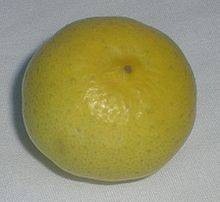 来檬
