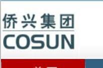 侨兴集团有限公司