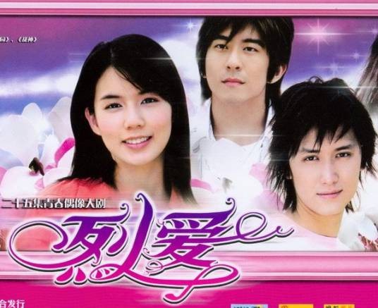 烈爱（2007年蔡岳勋执导的电视剧）