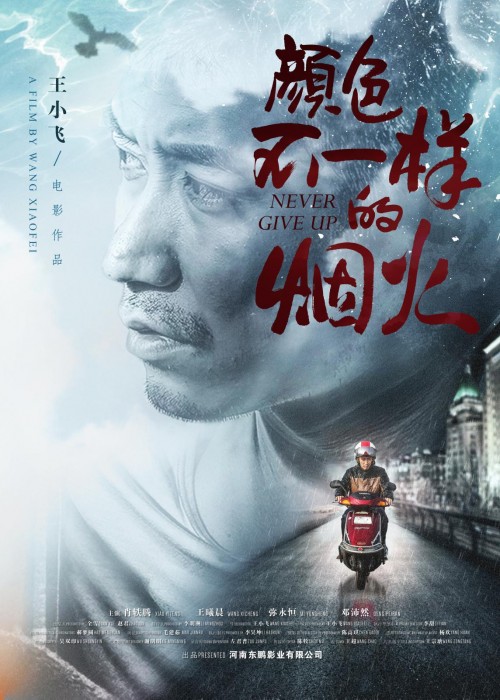 颜色不一样的烟火（王小飞执导的电影）